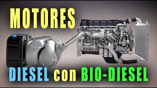 Programa especial: Motores DIESEL con BIO-DIESEL. Lo que hay que saber.