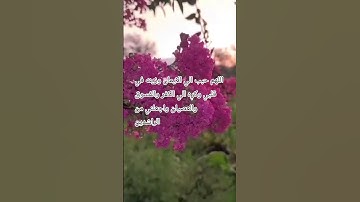 #اكسبلور #quran #المصحف #لايك #تلاوات #ترند #راحة_نفسية #تيك_توك