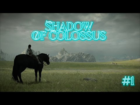 First time playing Shadow Of Colossus