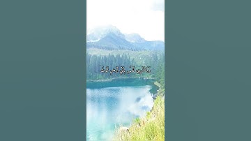 واتس اب قران كريم القارئ ياسر دوسري (سوره لقمان)