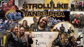 HBCU VLOG: NCCU | Stroll Like an Alpha 2024 | Team Secret Service Full Performance | Liyah J