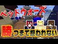 海外のマイクラプロが参戦で大苦戦！？勝つまで終われないマイクラベッドウォーズ！！【マインクラフト】