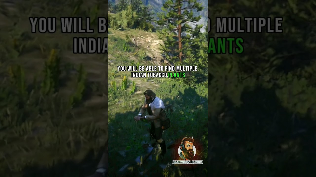 indian tobacco rdr2 moonshiners Moonshiner Indian tobacco Location in RDR 2 #rdr2 #gamingshorts #reddeadredemtion2 #arthurmorgan indian tobacco rdr2 moonshiners Moonshiner Indian tobacco Location in RDR 2 #rdr2 #gamingshorts #reddeadredemtion2 #arthurmorgan