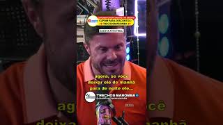 Is Whole Wheat Bread Better Than French Bread  Cariani shorts