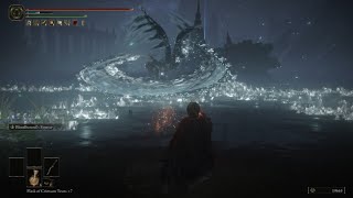 Elden Ring Death Rite Bird Fight