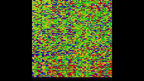 Population genetics over time in Noble Ape