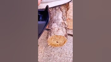 Bộ Chuyển Đổi Máy Khoan Thành Máy Cưa #dungcudiennuoc #bochuyendoimaykhoanthanhmaycua #dogiadung