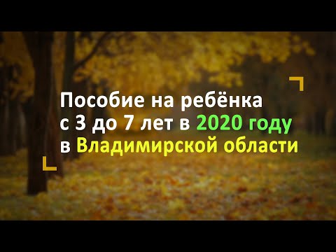 Пособие на ребёнка с 3 до 7 лет во Владимирской области в 2020 году