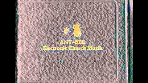 ANT-BEE - The Language Of The Body