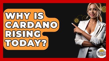Why Is Cardano Rising Today? - CryptoBasics360.com