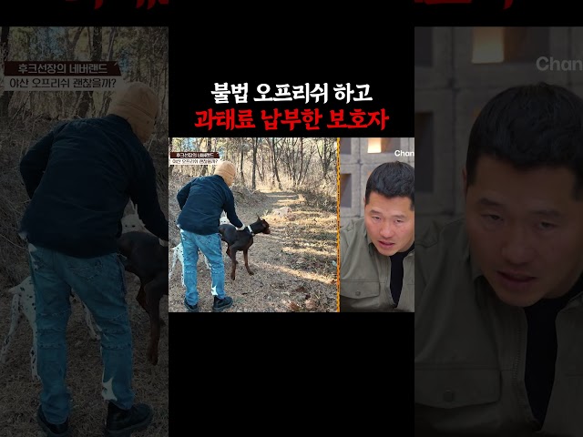 반려견 오프리쉬는 불법 #개늑시2 #개와늑대의시간2