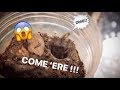 My TRAPDOOR SPIDER FINALLY ATE !!! ~ [The AMBUSH everyone wanted]