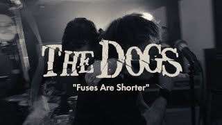 The Dogs - Fuses are Shorter