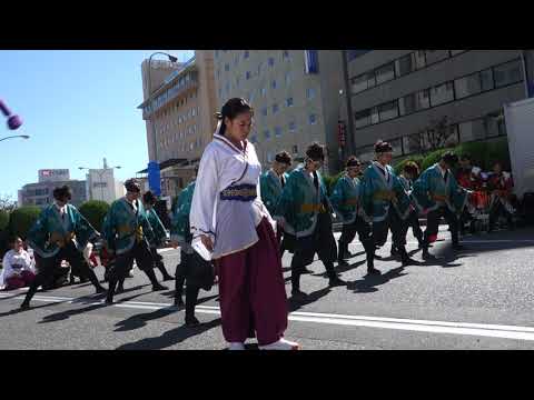 08 京都よさこい連 心粋 安濃津よさこい2019 津駅前会場  右側