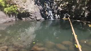 Top Mount Farm Falls! #adventure #viral #trending #shorts 