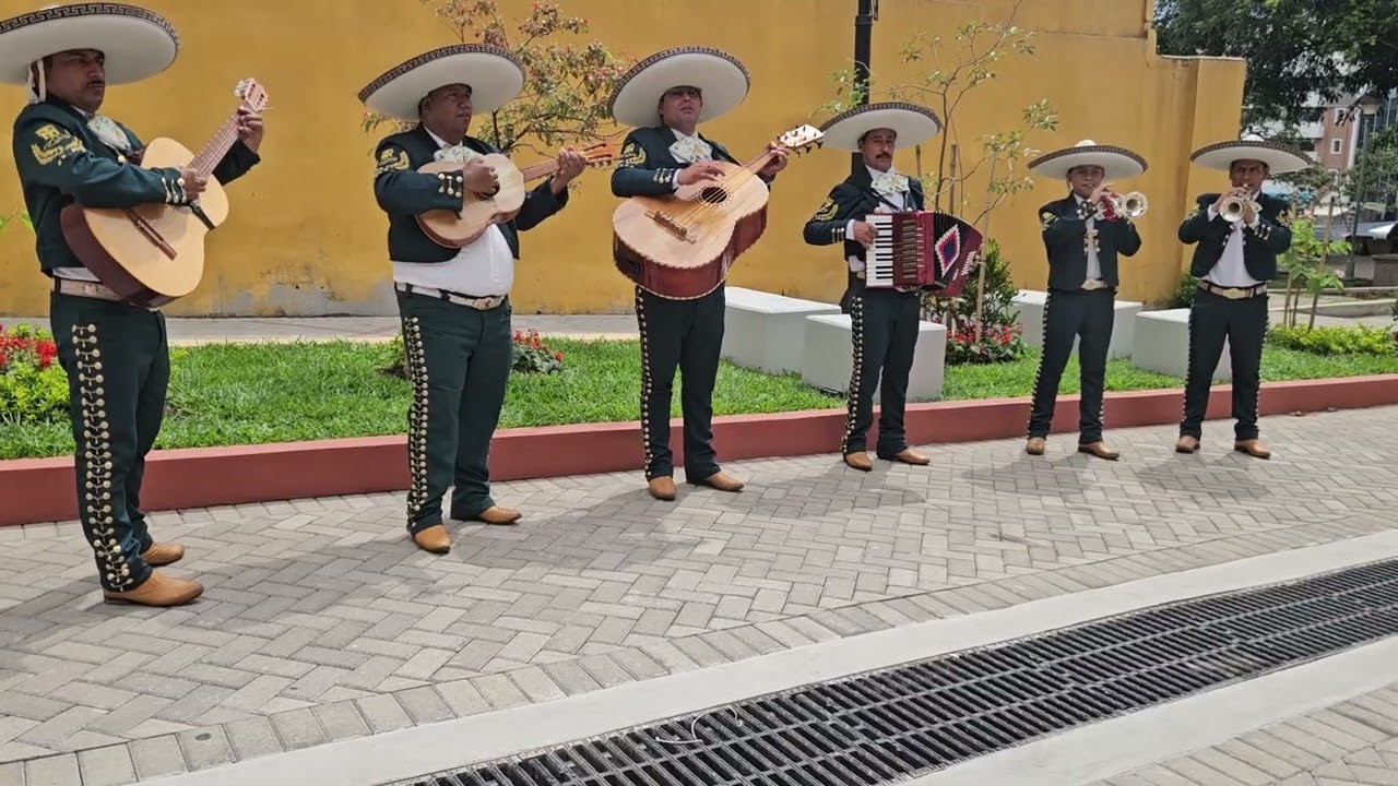 Mariachis de costa rica 7092 6815 