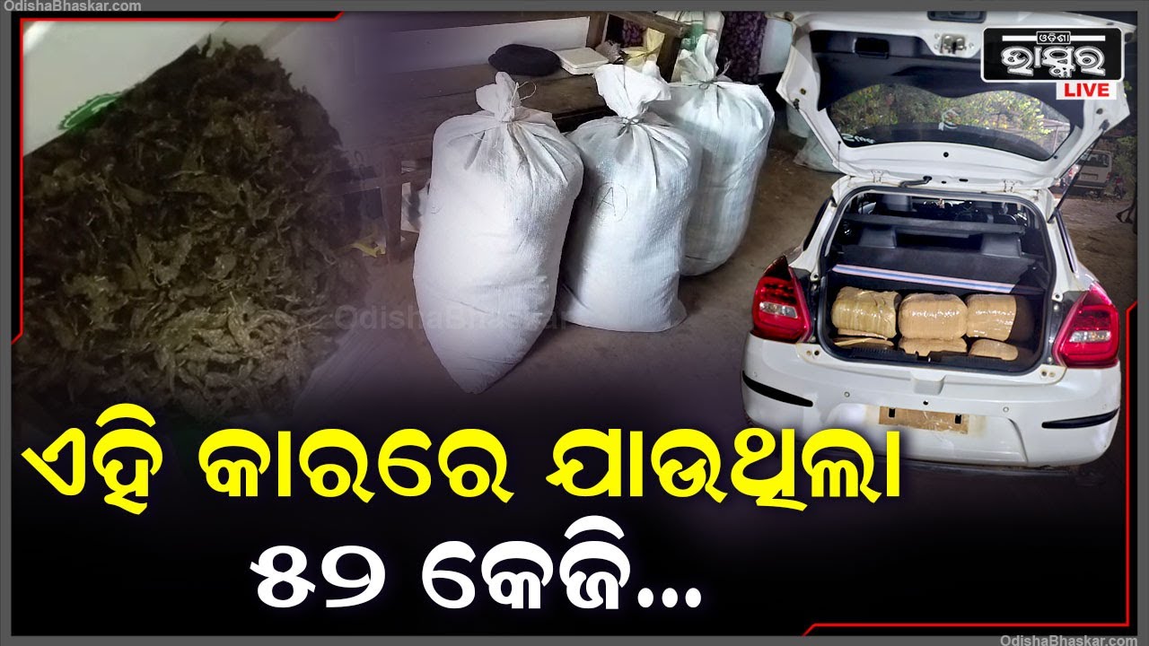 ଏହି ଧଳା କାରରେ ଲୁଚେଇ ଲୁଚେଇ ନେଇ ଯାଉଥିଲେ ହେଲେ ଦେଖିଦେଲା ପୋଲିସ I ପୋଲିସକୁ ଦେଖି ଫେରାର ହୋଇଗଲା ଡ୍ରାଇଭର