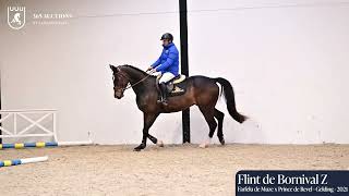 Flint de Bornival Z