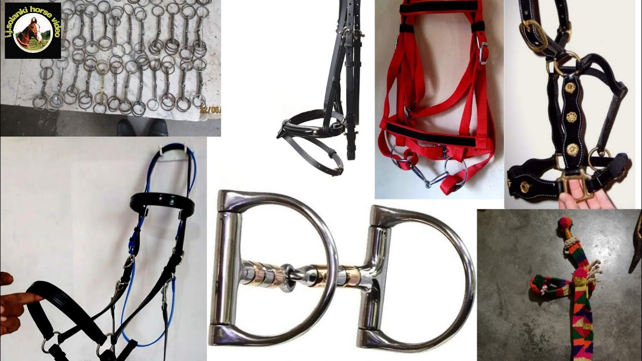 indian Horse accessories photos shorts YouTube