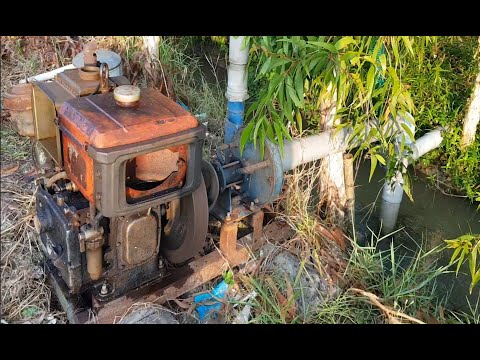 Video Bơm nước tưới tự động bằng máy dầu - youtube