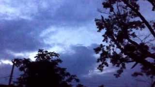 Bats and Fireflies