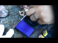 牛深で素潜りした時のウニ収穫の動画