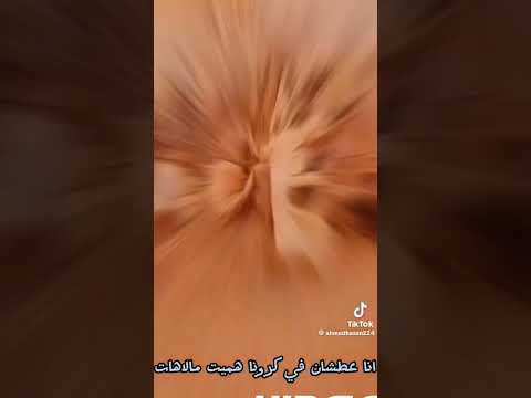 الفنان عمار ابو يحي وخانه الفنان محمد ابو ياسين نشكر احنا نسعي ندور دنيا ماحبتنا 