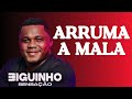 ARRUMA A MALA E VEM MORAR MAIS EU - BIGUINHO SENSAÇÃO 2024