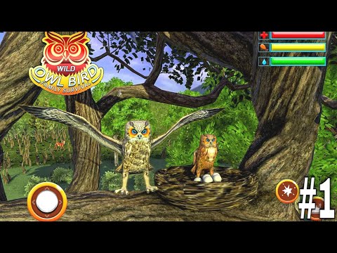 Owl Bird Simulator - Birds Simulator | RKM Gaming | Birds Family Survival | Wild Owl | #1