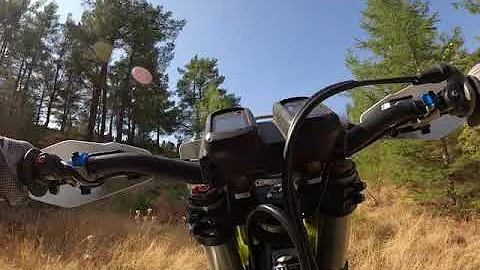 Graham Jarvis Forest race, Sea to Sky 2020