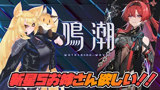 新キャラきた！星５のお姉さんをお迎えしたい！！【鳴潮 （メイチョウ）】