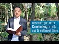 Descubre porque el Comino Negro evita que te enfermes tanto