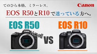 【Canon】『EOS R50』と『EOS R10』を徹底比較CanonのAPSCミラーレス、どちらを買えば良いのか迷っているあなたへ。