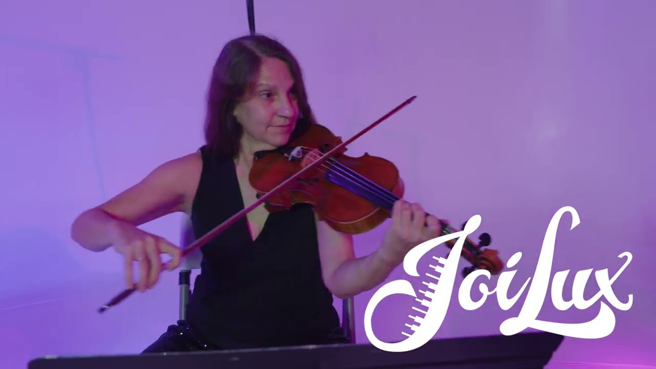 String Quartet - Pink Pony Club