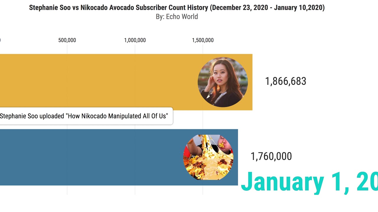 Nikocado avocado subscriber count