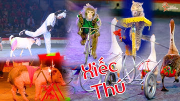 XIẾC THÚ Animal siêu đáng iu ngộ nghĩnh - Rạp xiếc Trung Ương
