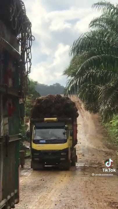 Truk sawit meluncur!! story wa keren
