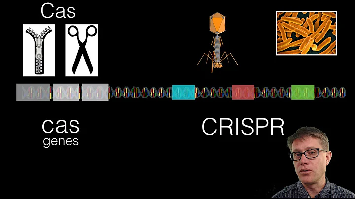 What is CRISPR?