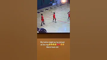 Twinship Confirmed 