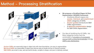 Organ at Risk Segmentation for Head and Neck Cancer Using Stratified Learning and Neural Architec...