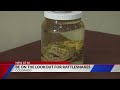 Hikers advised to stay alert for rattlesnakes in Colorado parks