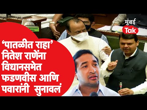 Vidhan Sabha मध्ये नितेश राणे यांना देवेंद्र फडणवीस, अजित पवार यांचा पातळीत राहण्याचा सल्ला