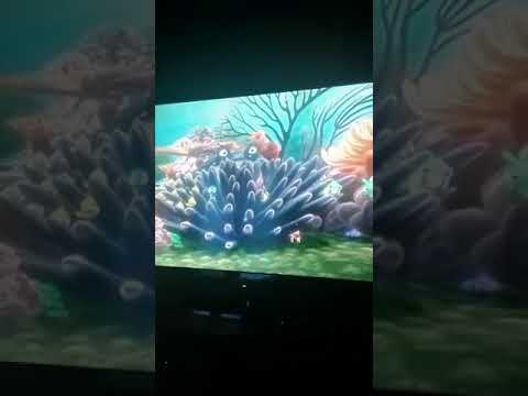 Buscando a Nemo( Nemo es capturado) español latino