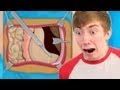 Stomach surgery iphone gameplay