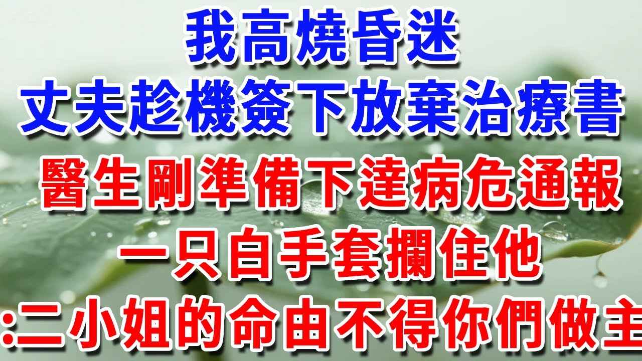 我高燒昏迷，老公趁機簽下放棄治療書醫生，剛準備下達病危通報一只白手套攔住他：二小姐的命由不得你們做主！#一帆說故事 #為人處世 #生活經驗 #情感 #故事 #彩礼#深夜淺讀