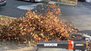 Worx WG521 800CFM Leaf Blower in Action