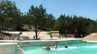 Very first time in our pool Aug 2007