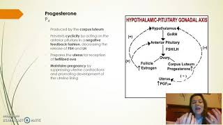 Vet Science  Endocrinology