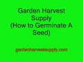 How to germinate seeds for beginners  growjoy plants