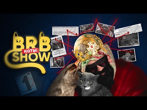 видео: Big Russian Boss Show. Коты #1. Серега